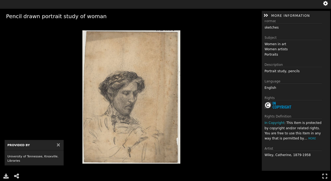 Image Rights Example